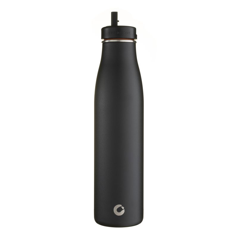 Insulated Drinking Bottle with Straw in Black 800ml - Paddle People